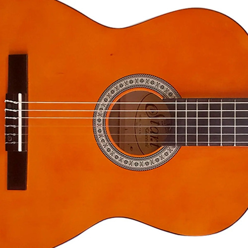 Violão Clássico Giannini N-14 Natural Tampo Sabina Verniz Brilhante Com Cordas De Nylon 7