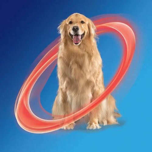 NexGard Spectra Antipulgas e Vermífugo Cães 30,1kg a 60kg 1 tablete 3