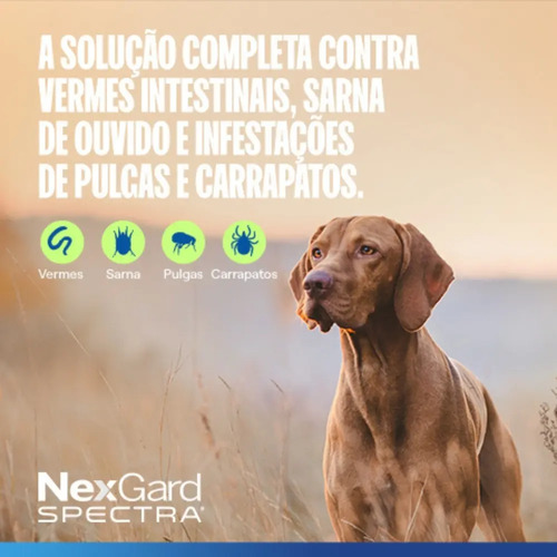 NexGard Spectra Antipulgas e Vermífugo Cães 30,1kg a 60kg 1 tablete 6