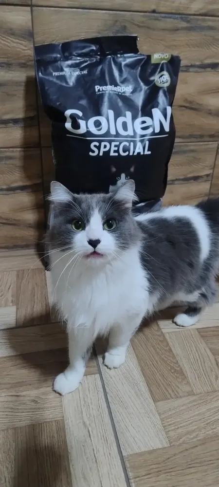 Ração Gatos Ad Cast 6 Meses A 6 Anos Frang 500 G 13