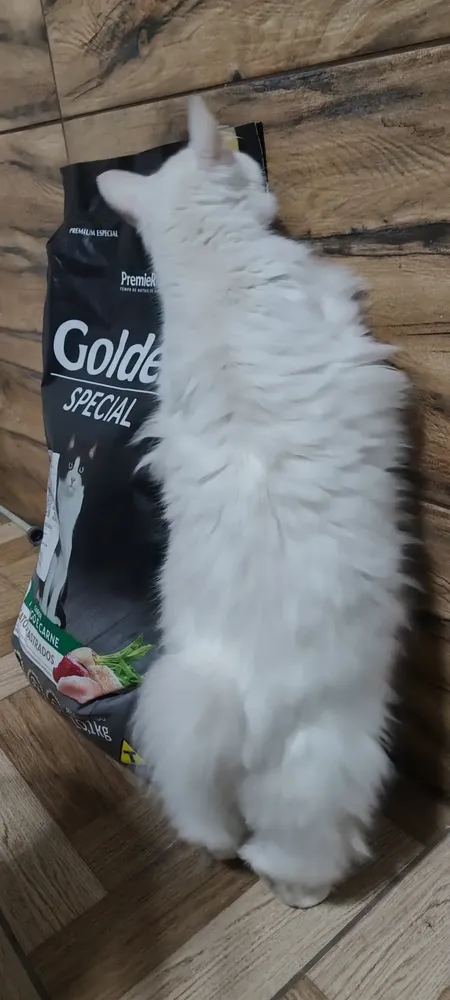 Ração Gatos Ad Cast 6 Meses A 6 Anos Frang 500 G 9