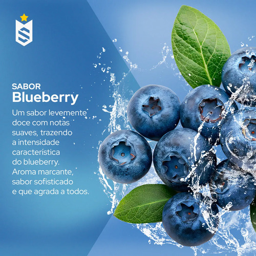 Pré-Treino Evolution Workout 300g Termogênico Sabor Blueberry Soldiers Nutrition Energia Foco Treino 2