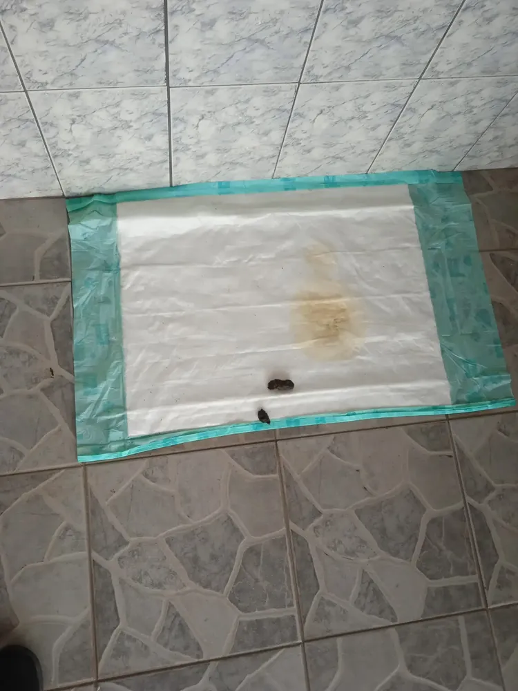 Petix Super Secão Tapete Higiênico 30 unidades 80cm x 60cm 11